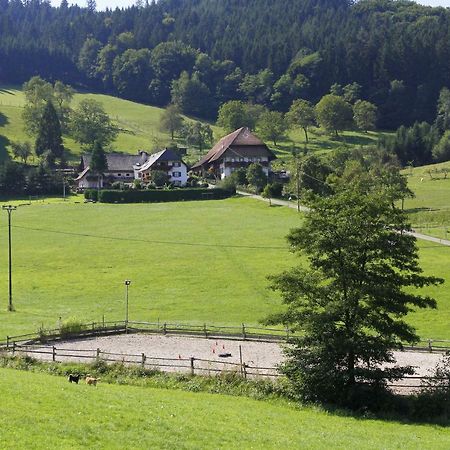 Kempfenhof Seelbach  Exterior foto